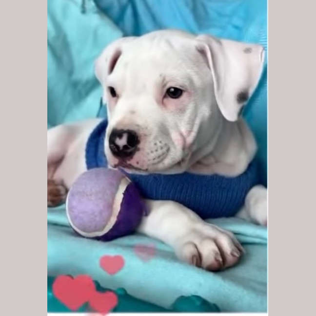Photo of Cash