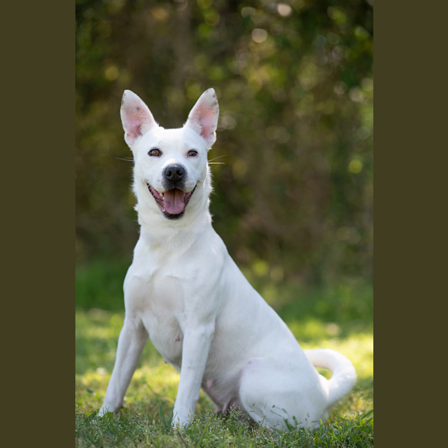 Photo of Casper