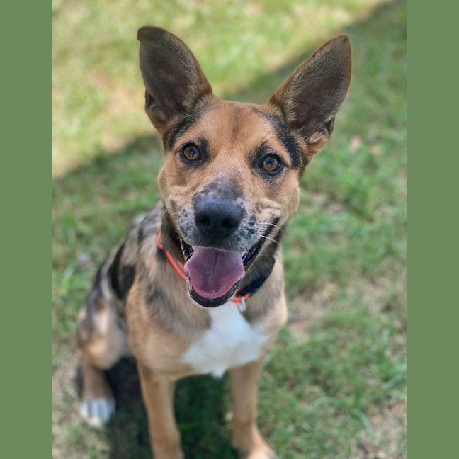 Photo of Maggie   Mae 