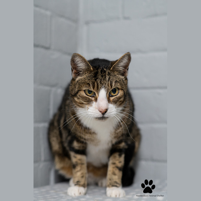 Photo of Harley