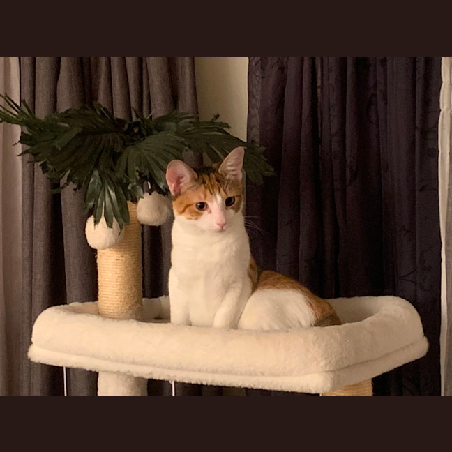 Photo of Dottie