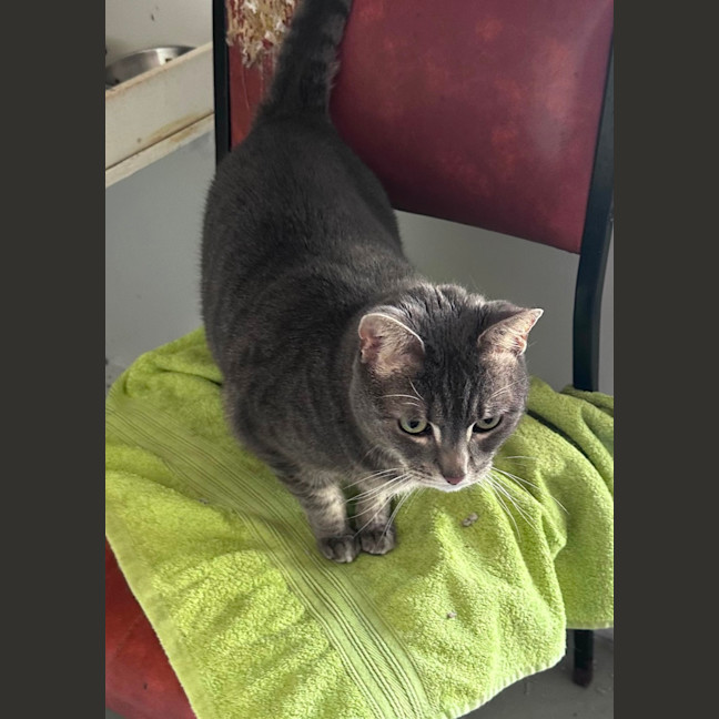 Photo of Asha
