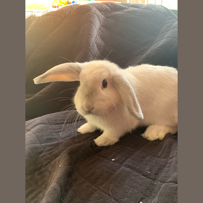 Photo of Marilyn Bunroe