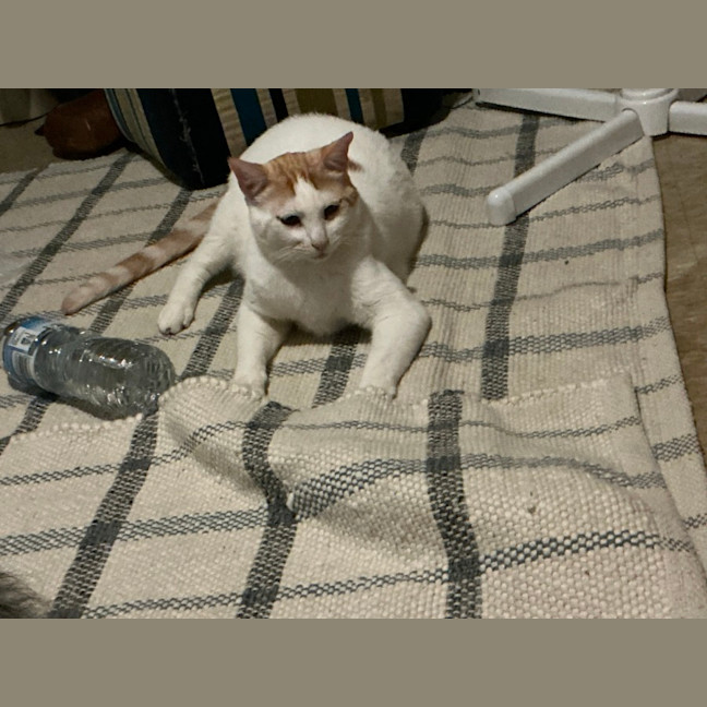 Photo of Luvvy
