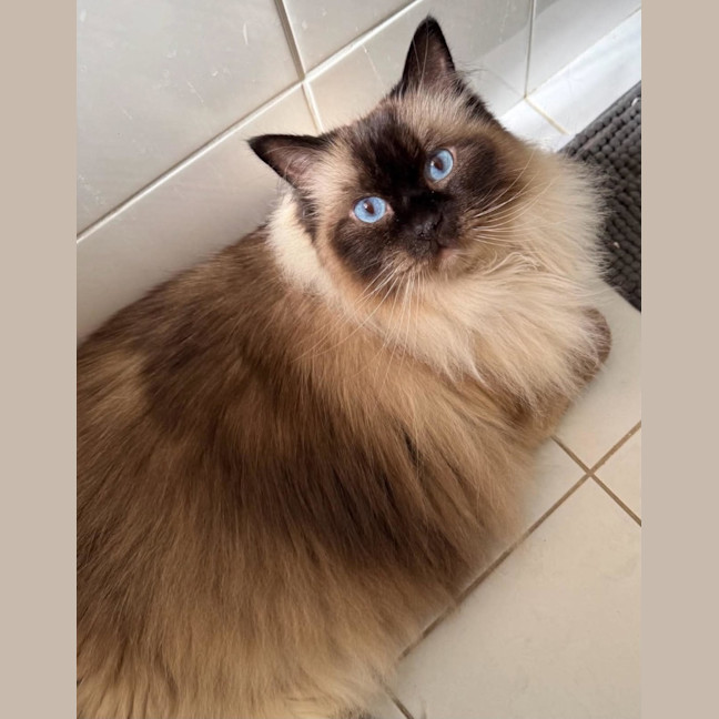 Photo of Pippa