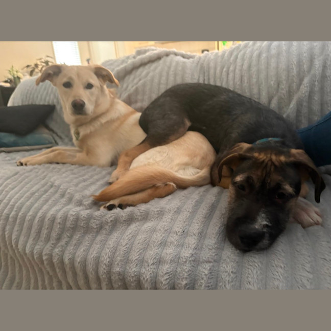 Photo of Russel Dara