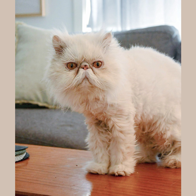 Photo of ❄Aspen❄