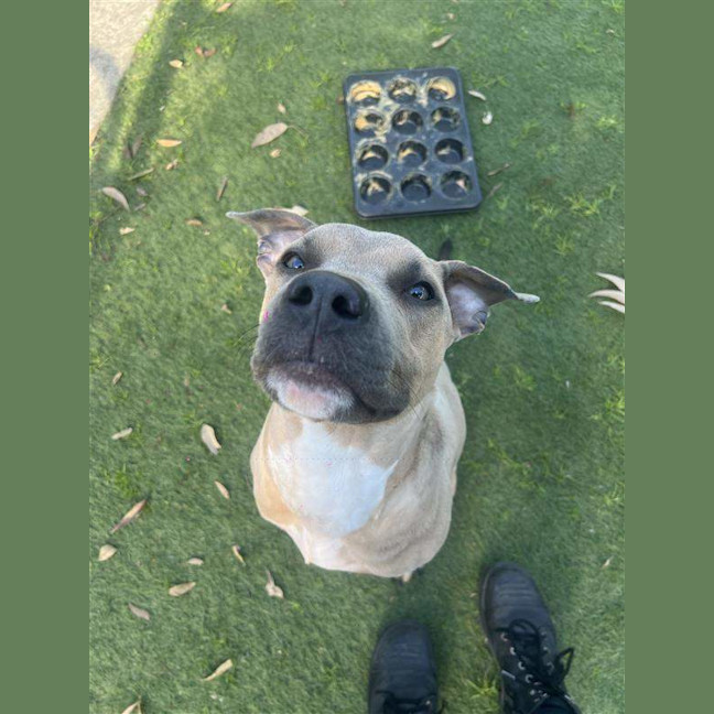 Photo of Zeus