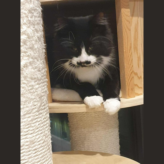 Photo of Bueno