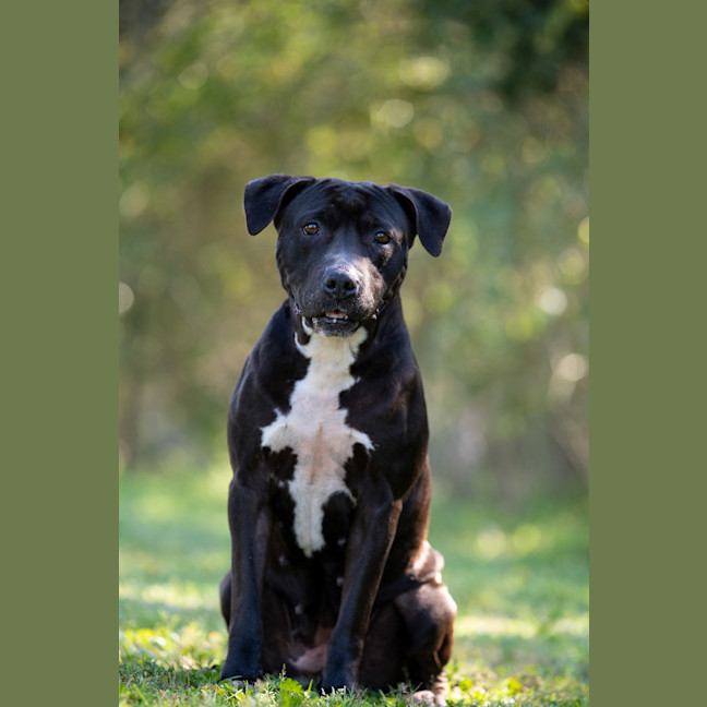 Photo of Roxy
