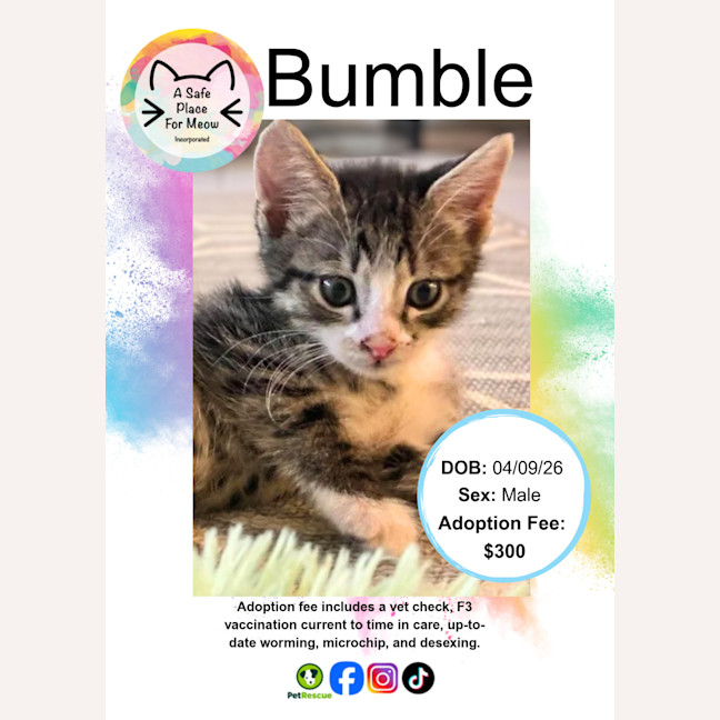 Photo of Bumble