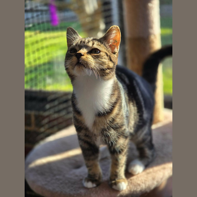Photo of Itty