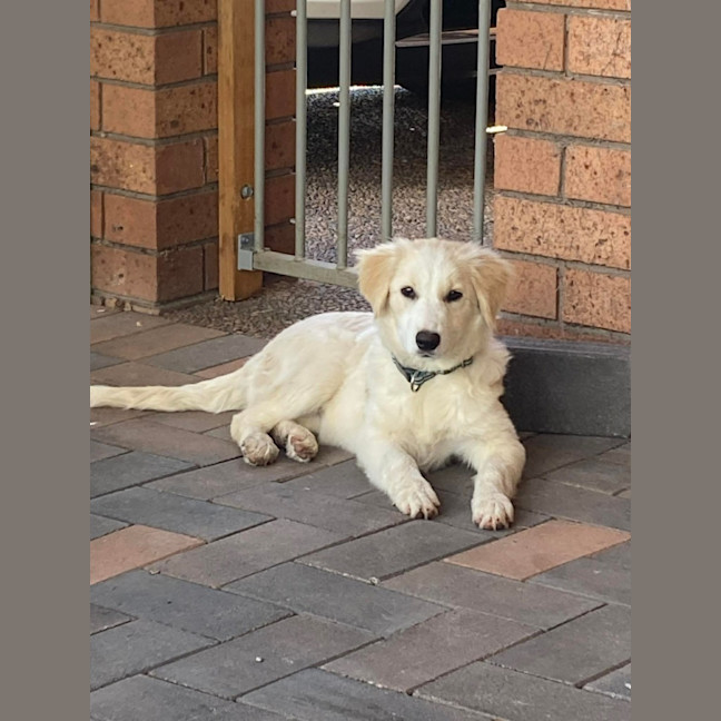 Photo of Cloud