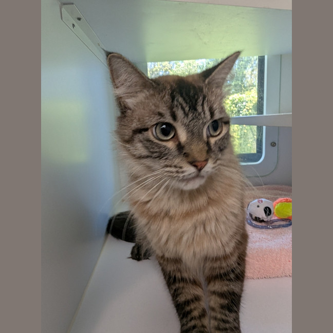 Photo of Dora