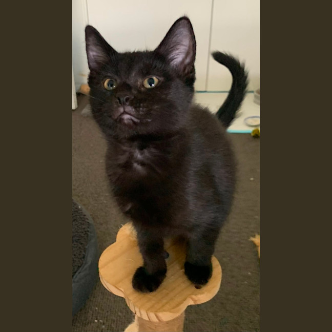 Photo of Olivia