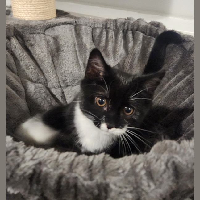 Photo of Benni