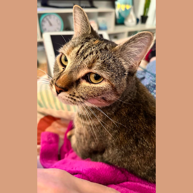 Photo of Phoebe