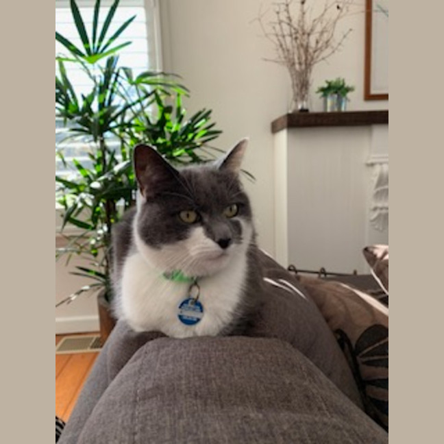 Photo of Sassy Smokey Calls The Shots