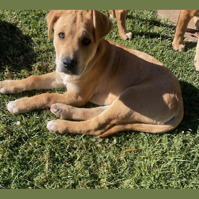 Photo of Mack
