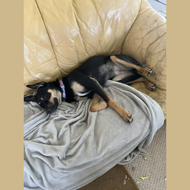Photo of Incy Wincy