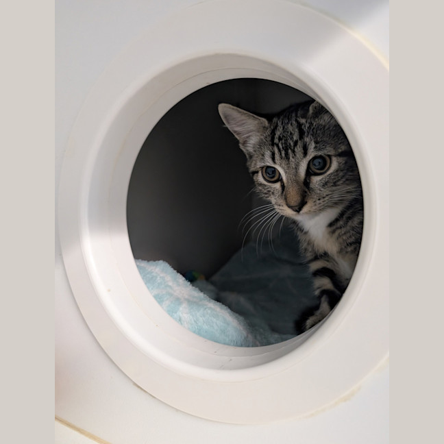 Photo of Cleo