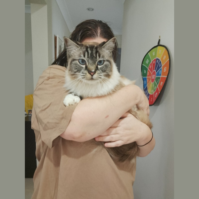 Photo of Caesar
