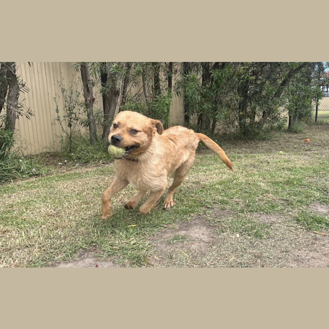 Photo of Kirby