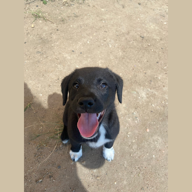 Photo of Matilda