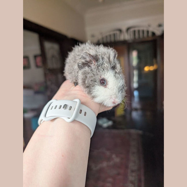 Photo of Benedict