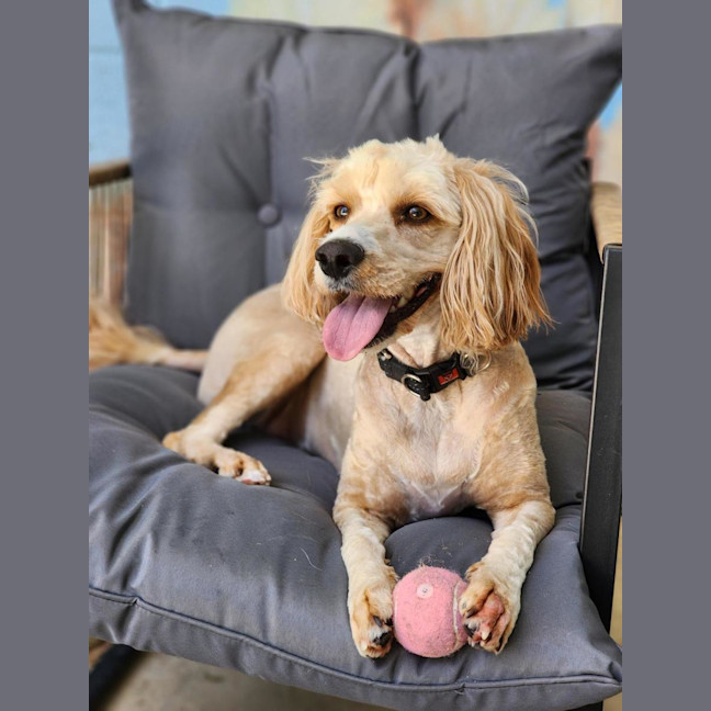 Photo of 🐝 Charlie 6852 🐝