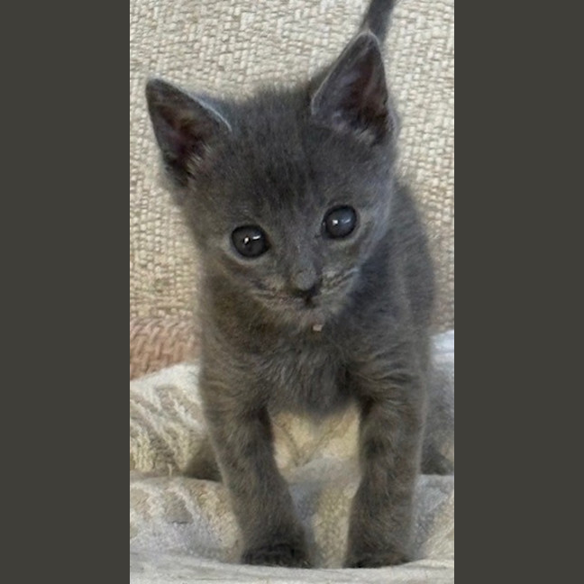 Photo of Wafer And Et