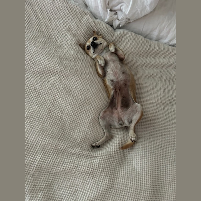 Photo of Bonnie Parker & Clyde Barrow