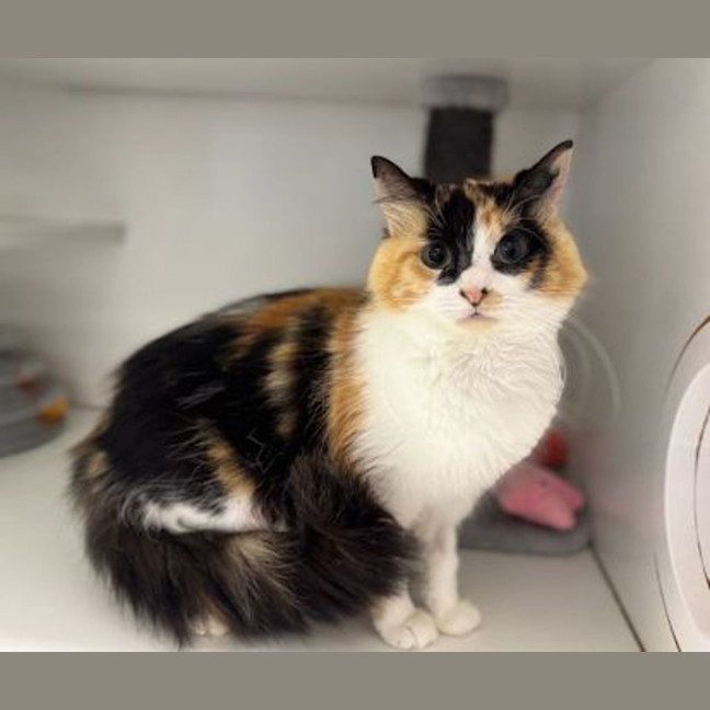 Photo of Esmerelda