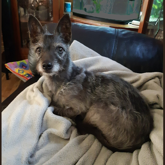 Photo of Jet