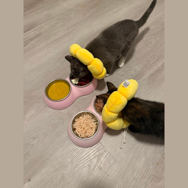 Photo of Arya 🪻💜