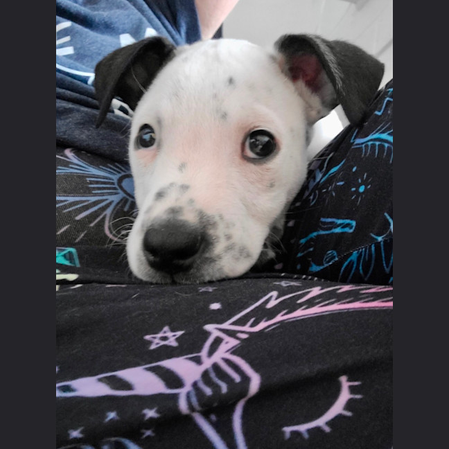 Photo of Kaitoa