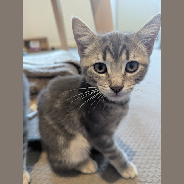 Photo of Maya Scotty