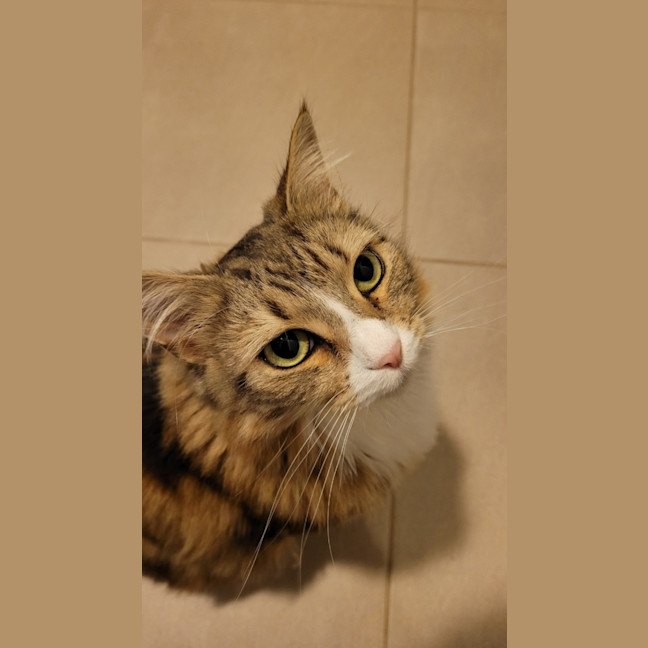 Photo of Princess Wynter