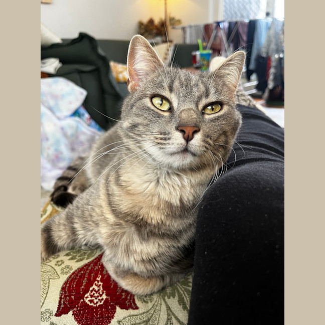 Photo of Roxy