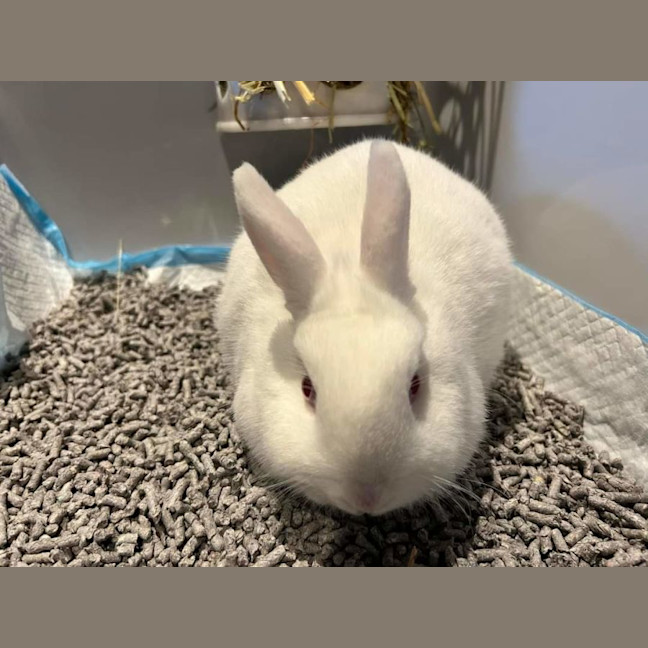 Photo of Audrey Hopburn With Mary Poppin