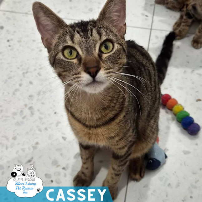 Photo of Cassey