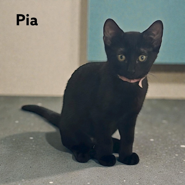 Photo of Pia