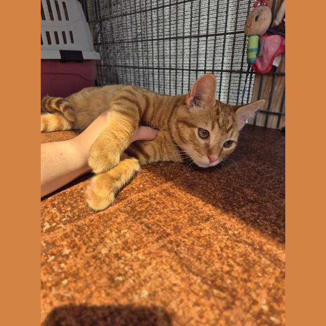 Photo of Monkey! 🦧 