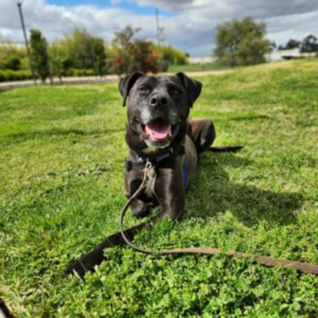 Photo of Captain Chai