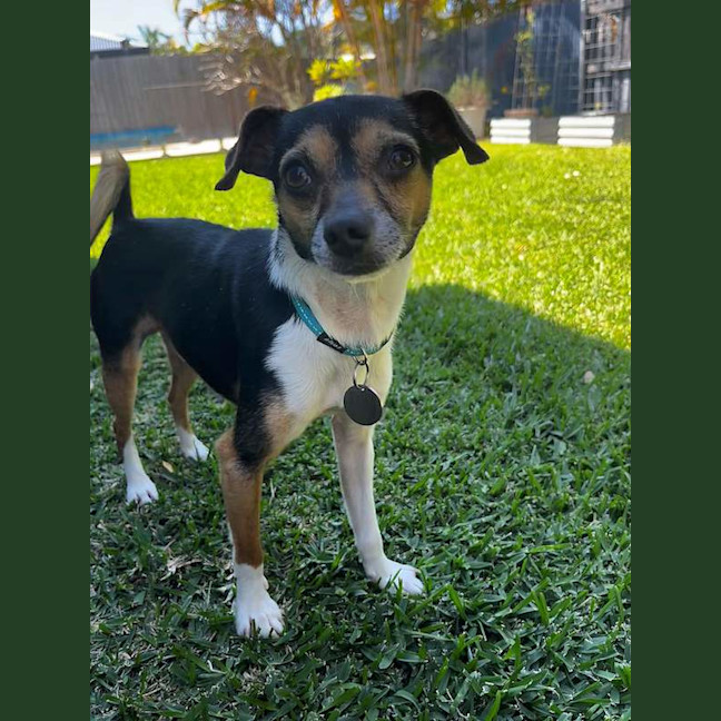 Photo of Sprout