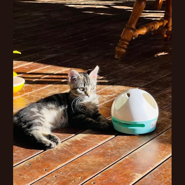 Photo of Taylah