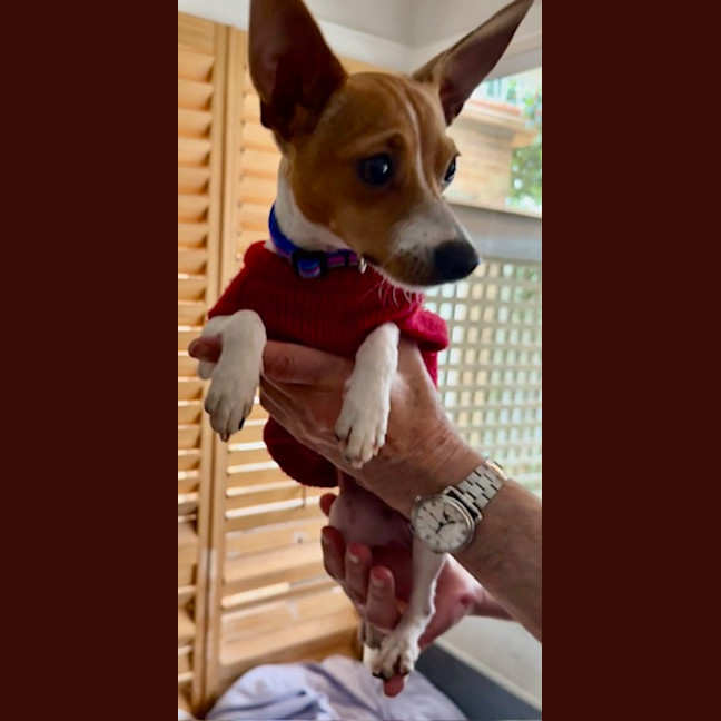 Photo of Pablo