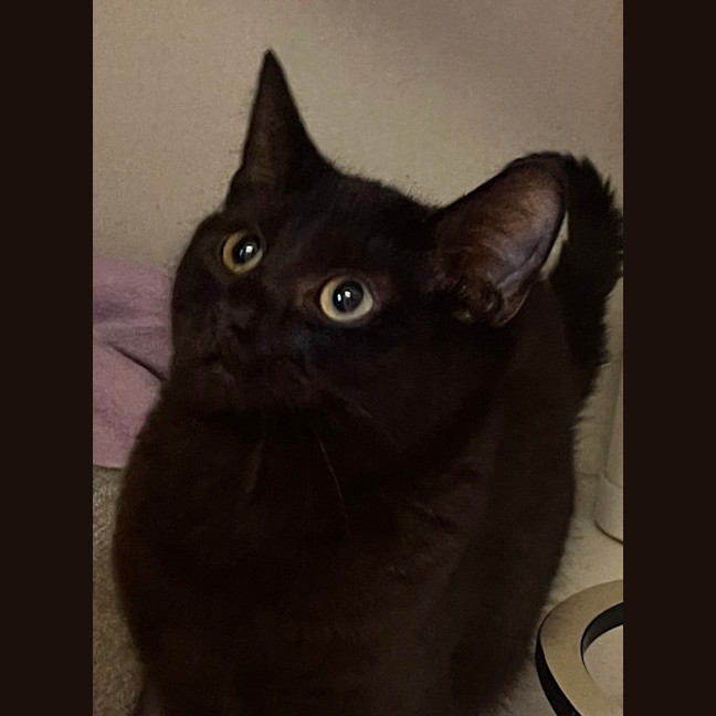 Photo of Diamond
