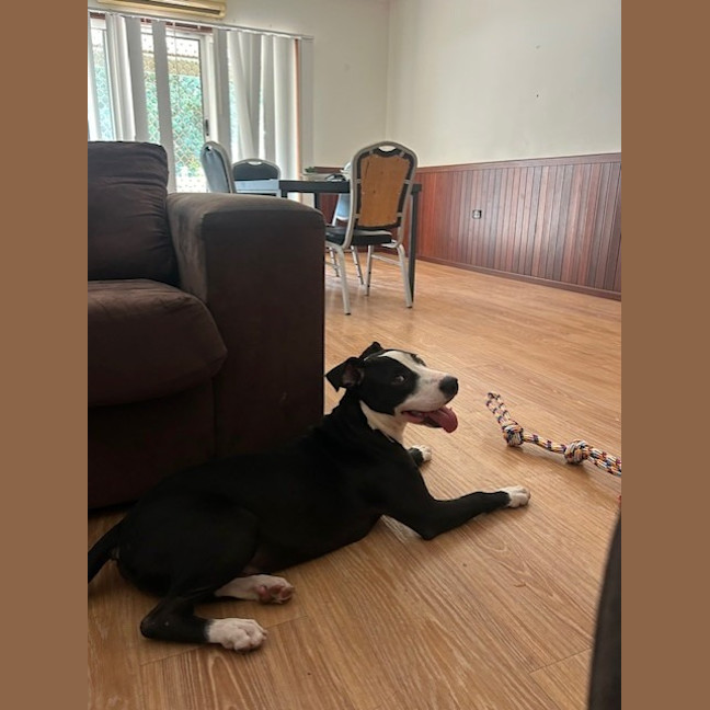 Photo of Charlie