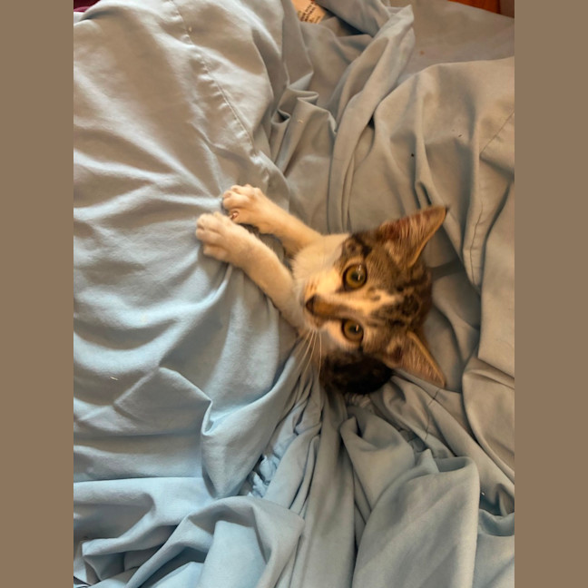 Photo of Polly